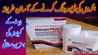 Method of Deworming goatsبکروں کی ڈیورمینگ کاآسان طریقہ nilzan plus syAnas Mughal [upl. by Anaugal]