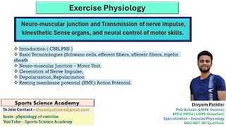 Neuromuscular junction and transmission of nerve impulse  Action potential  UGC NET [upl. by Naloj]