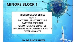 Bacteriology  Microbiology Pathology Levinson  By Dr Bint e Hawa [upl. by Aerua510]