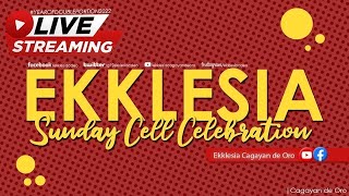 Ekklesia Cell Celebration 11192023 [upl. by Anahsor]