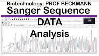 Sanger Sequencing Data Analysis [upl. by Dill413]