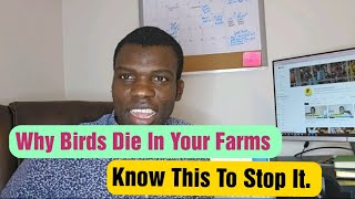 Why Birds Die In Your Farms EveryDay [upl. by Fritze]