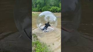 Giant Hamster Ball VS River [upl. by Lada686]