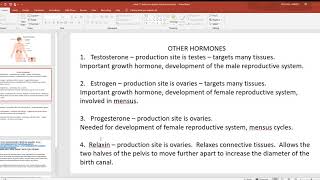 video 11 endocrine system other hormones [upl. by Anelleh]