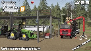 Building new DAIRY SHEEP FARM  Animals on Untergriesbach  Farming Simulator 19  Episode 29 [upl. by Tallbot]