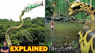 Piranhaconda 2012 Film Explained in Hindi Summarized हिन्दी [upl. by Reggy]