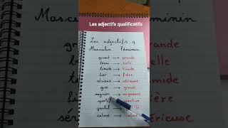 Les adjectifs qualificatifs masc et fém français french frenchlanguagelearner frances [upl. by Kahn75]