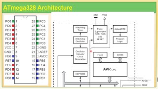 AVR Architecture [upl. by Ehtiaf784]