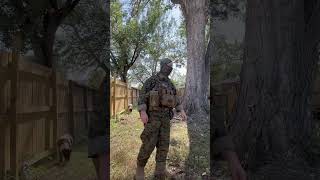 USMC taps rig  plate carrier set up airsoft army airsoftfeb airsoftrifles military ￼ [upl. by Sturdivant]