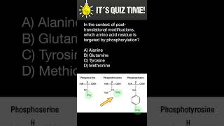 Phosphorylation of Amino acids [upl. by Leandre]