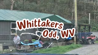 The Famous Whittakers of Odd West Virginia [upl. by Siol472]