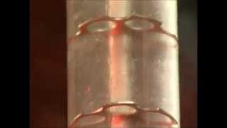 LiquidLiquid Extraction Column Demonstration KARR Columns by Koch Modular [upl. by Ahseik976]