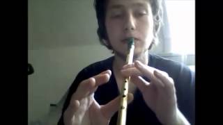 Braveheart theme on the tin whistle TUTORIAL [upl. by Marcile359]