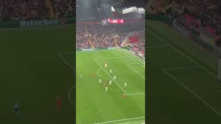 Liverpool vs Bayer Leverkusen 40  All Goals amp Highlights  UEFA Champions League 202425 [upl. by Marcoux]