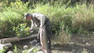 Salmon fishing Ontario Bowmanville Part 2 [upl. by Aivatan]