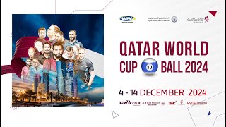 QATAR WORLD CUP 10 BALL 2024  DAY FOUR [upl. by Nilrem]