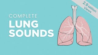 Complete Breath sounds NormalAbnormal Lung Sounds Types amp Conditions [upl. by Ardnasirk]