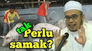 Sentuh Khinzir Babi tak Perlu Samak • Dr MAZA [upl. by Ahsinek73]