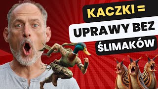 🦆 Kaczki biegusy  I NIE MA ŚLIMAKÓW 🦆🔥🔥 [upl. by Alikahs]