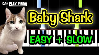 Baby Shark  Piano Tutorial Easy SLOW  Free Sheet Music PDF [upl. by Lrig]