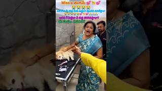 క్షమించుతల్లి💕🦮😭😭doglover animallover dogdead doctorhospitalstraydogslover pets momemotional [upl. by Kcirdahc]