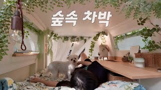 🚌세상에 하나뿐인 캠핑카에서 강아지와 단둘이 가을 차박 즐기기  묵은지 삼겹살  솔로 캠핑  스타렉스 자작 캠핑카  전라남도 보성 하느제 캠핑장 [upl. by Citron]