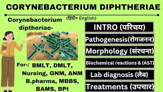 CORYNEBACTERIUM Diptheriae🦠 Full Lecture  Microbiology 📔 [upl. by Lyrem556]