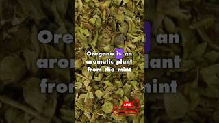 The Secret ImmuneBoosting Power of Oregano oregano superfood [upl. by Eolcin]