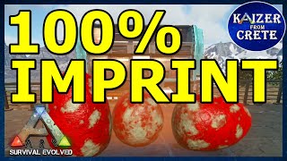 How to get 100 imprint with 1 care For all dinos  Server Settings ARK Survival Evolved [upl. by Kenneth]