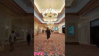 Inside Venetian building at Macau venetianmacau shortvideo tour [upl. by Jeana395]