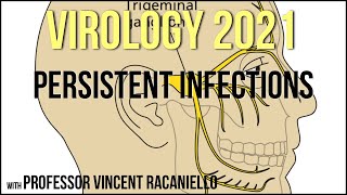 Virology Lectures 2021 17  Persistent Infections [upl. by Florian]