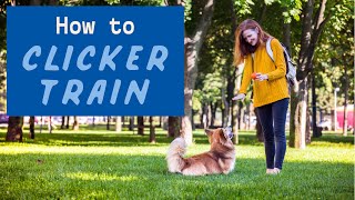 Dog Clicker Training Guide  How to Clicker Train A Dog [upl. by Ayocat937]