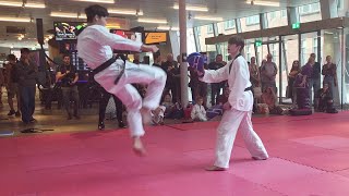 Taekwondo  Henk Meijer  KIEKEN Martial Arts Groningen 武道 2023 [upl. by Olgnaed834]