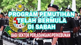 PEMUTIHAN PEKERJA ASING DI SABAH [upl. by Ahsinom]