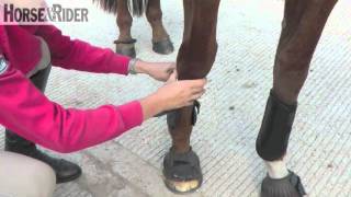 Jo Jacksons Top Tips  How to fit exercise boots  HorseandRider UK [upl. by Ijic]