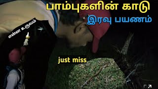 🐍பாம்புகளின் காட்டுக்குள் இரவு பயணம்most poison snakes in tha worldtk explorevideo snakesvlog [upl. by Mccormick]