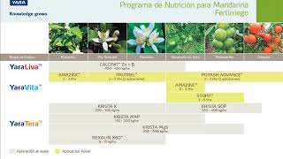 Programa de Nutricion para Mandarina Fertirriego  Yara peru [upl. by Gosney]