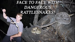 Face to Face with DANGEROUS Rattlesnakes Herping in Arizona [upl. by Eimat872]