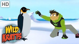 Wild Kratts PENGUINS Power Suits [upl. by Hyde]