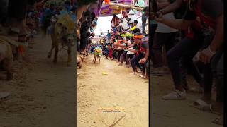 vellore eruthukattu whatsapp status velloreeruthukattu vellore eruthukattu rap song [upl. by Wahs]