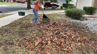 Spring Lawn amp Leaf Transformation in HOA Community [upl. by Virginia]