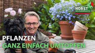 Pflanzen ganz einfach umtopfen  Horst sein Schrebergarten [upl. by Kamal183]