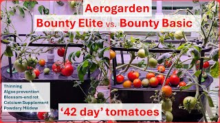 Aerogarden Bounty Elite vs Bounty Basic  Tomato  Blossomend rot  Cal Mag  Hydroponics [upl. by Ikiv]