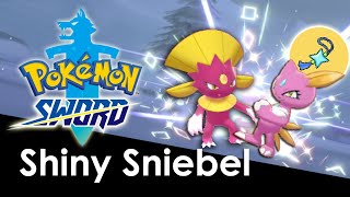 Shiny SniebelSneasel  Pokemon SchwertSchild SwordShield SnibunnaWeavile [upl. by Gib]