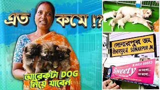 LOW PRICE DOG BREED SELLER IN KOLKATA  DOG BREEDER AT SONARPUR KOLKATA  DOG FOR SELL  8820055551 [upl. by Komarek]