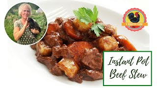 Instant Pot Beef Stew→Quick BEEF STEW RECIPES [upl. by Indira802]