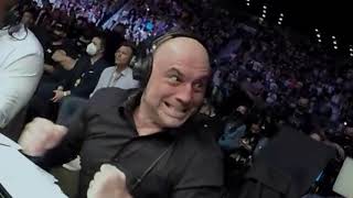 Joe Rogan on Marvis Frazier vs Mike Tyson With UFC Commentary funny comedyvideo joerogan [upl. by Joceline461]