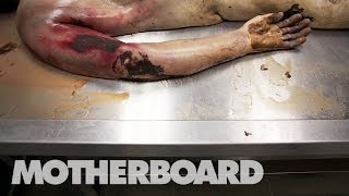 Reviving Dead Bodies in Mexico Trailer [upl. by Triplett]