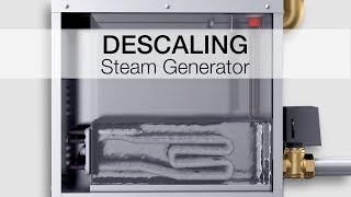 Descaling SAWO steam generators [upl. by Naugal873]