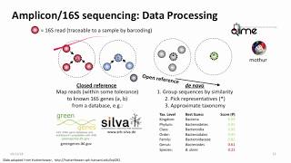 Introduction to Metagenomics for Researchers [upl. by Corvese]